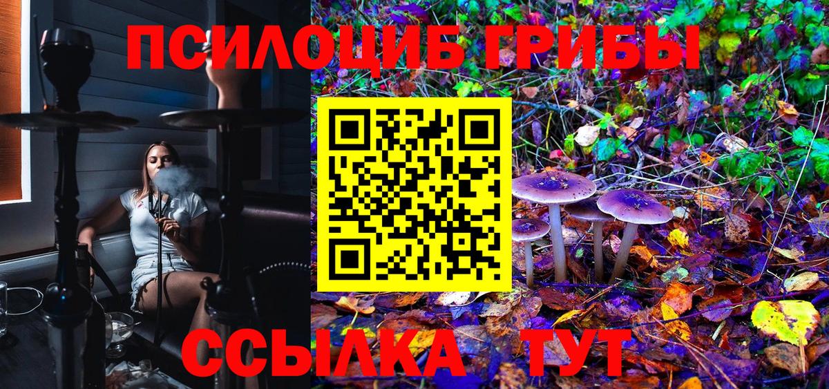 Салехард  Галлюциногенные грибы Magic Shrooms  Вход с VPN 